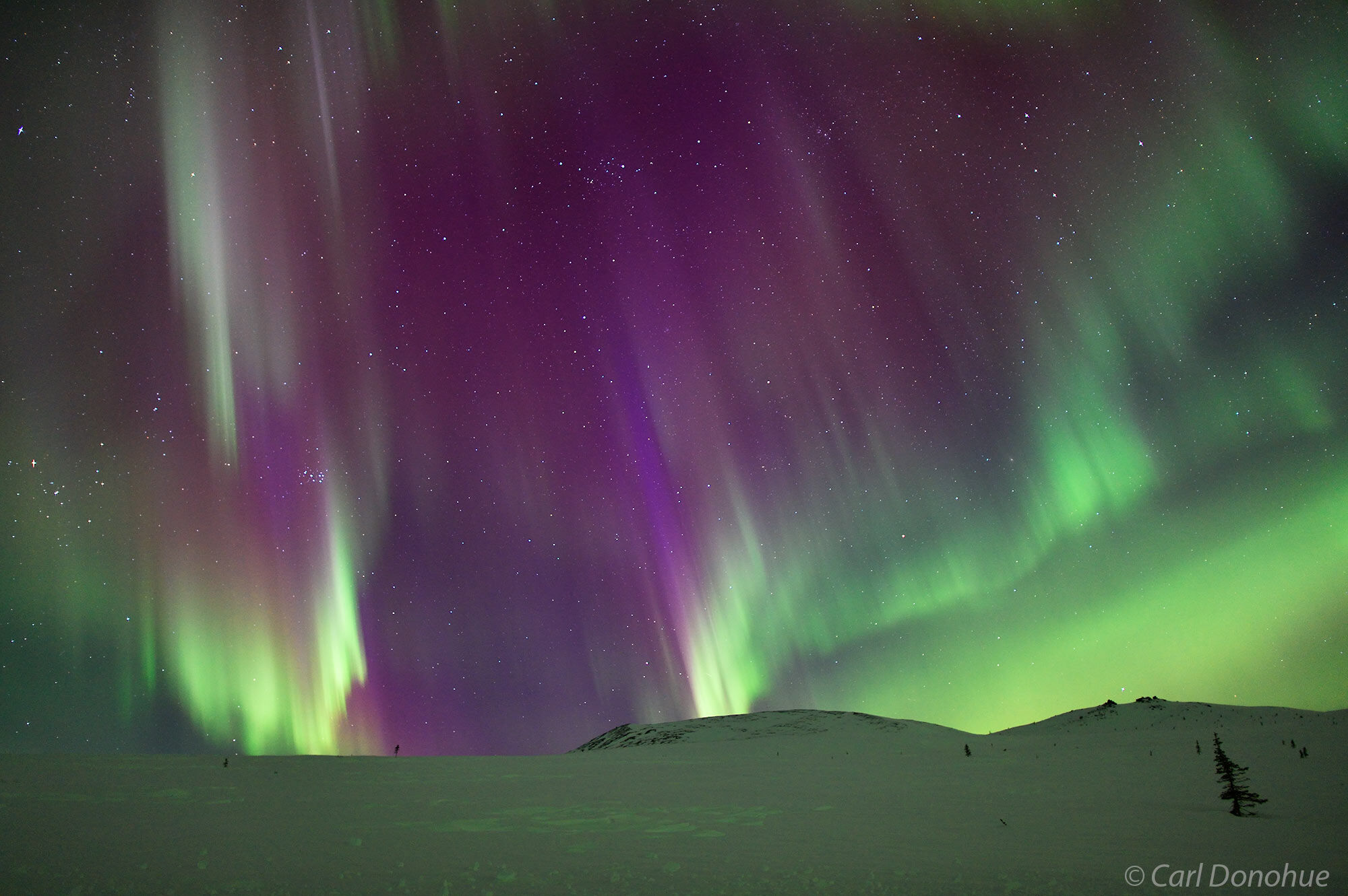 Purple was never so deep. Reds, greens, purples and more in this Aurora borealis photo, or northern lights, Alaska.