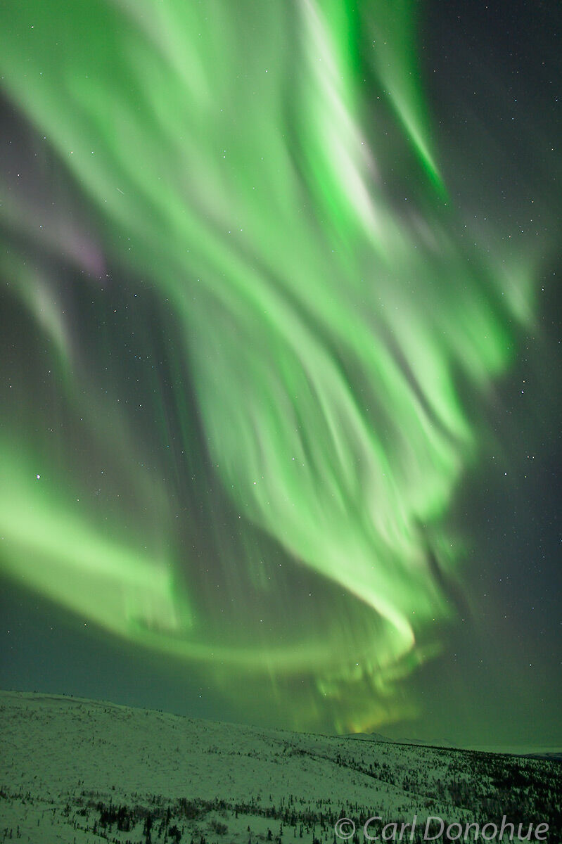 Northern interior Alaska and a massive aurora borealis display. Aurora borealis photo, or northern lights, Alaska.