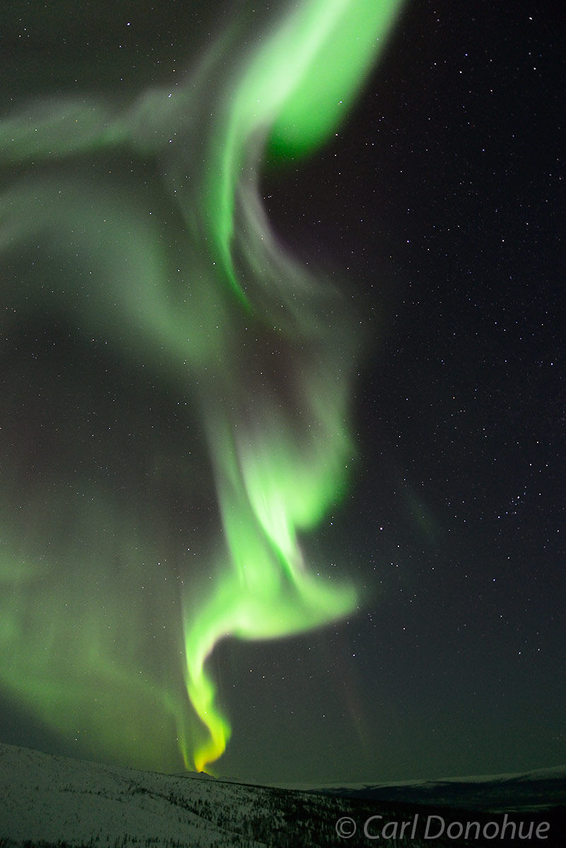 Alaska Aurora borealis photo, or northern lights, in the dark night sky of a midwinter evening