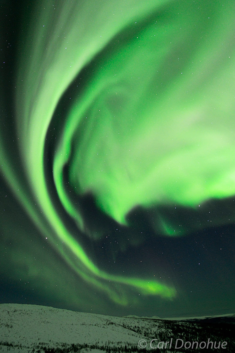 An active and energetic aurora borealis display in northern Alaska. Aurora borealis photo, or northern lights, Alaska.