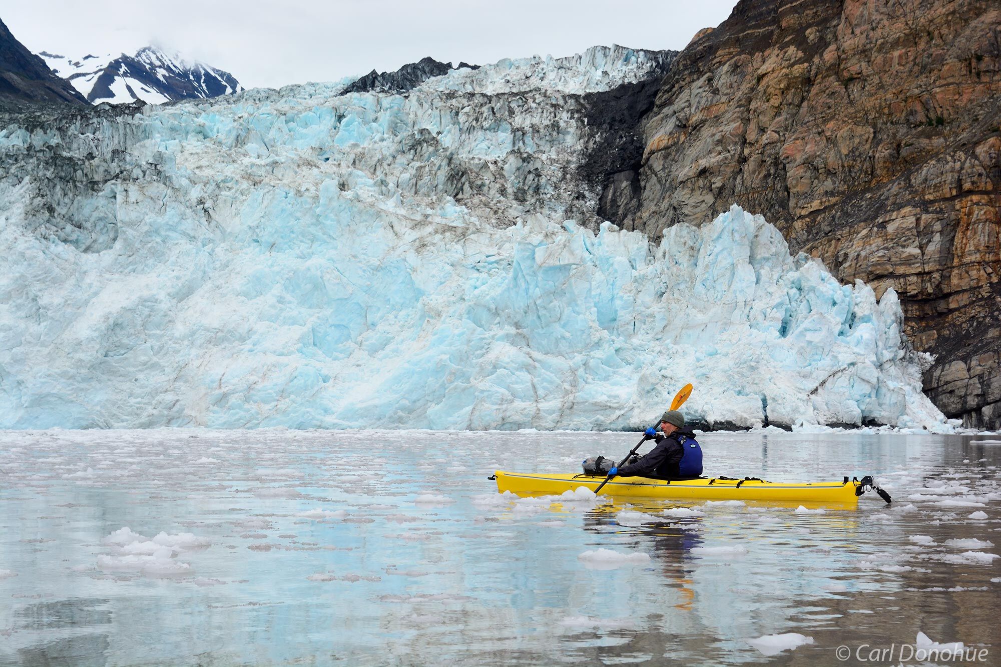 Sea kayaker paddling through icebergs in front of Tindall Glacier in Icy Bay, Wrangell - St. Elias National Park & Preserve...