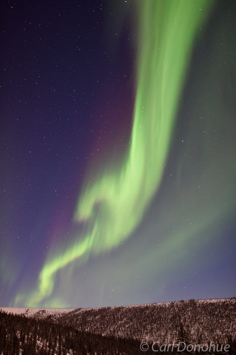 A nicely lit sky and the aurora make a great match. A full moon lights the sky and foreground. Aurora borealis photo, or northern...