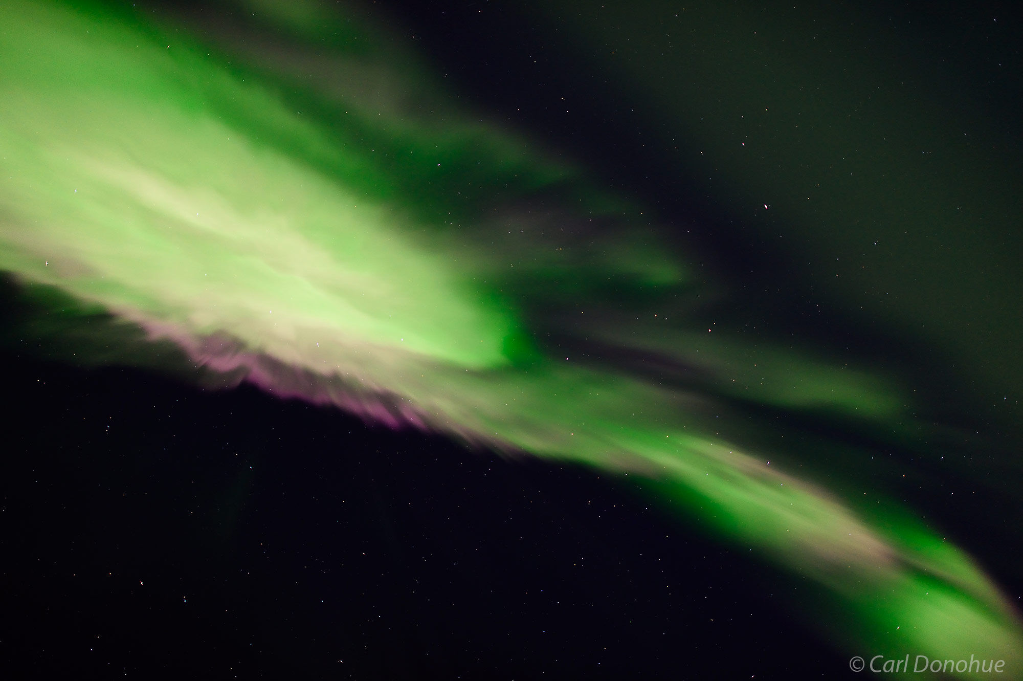 A vivid Corona as the northern lights or aurora borealis, display in all their glory in Arctic Alaska. Aurora borealis photo...
