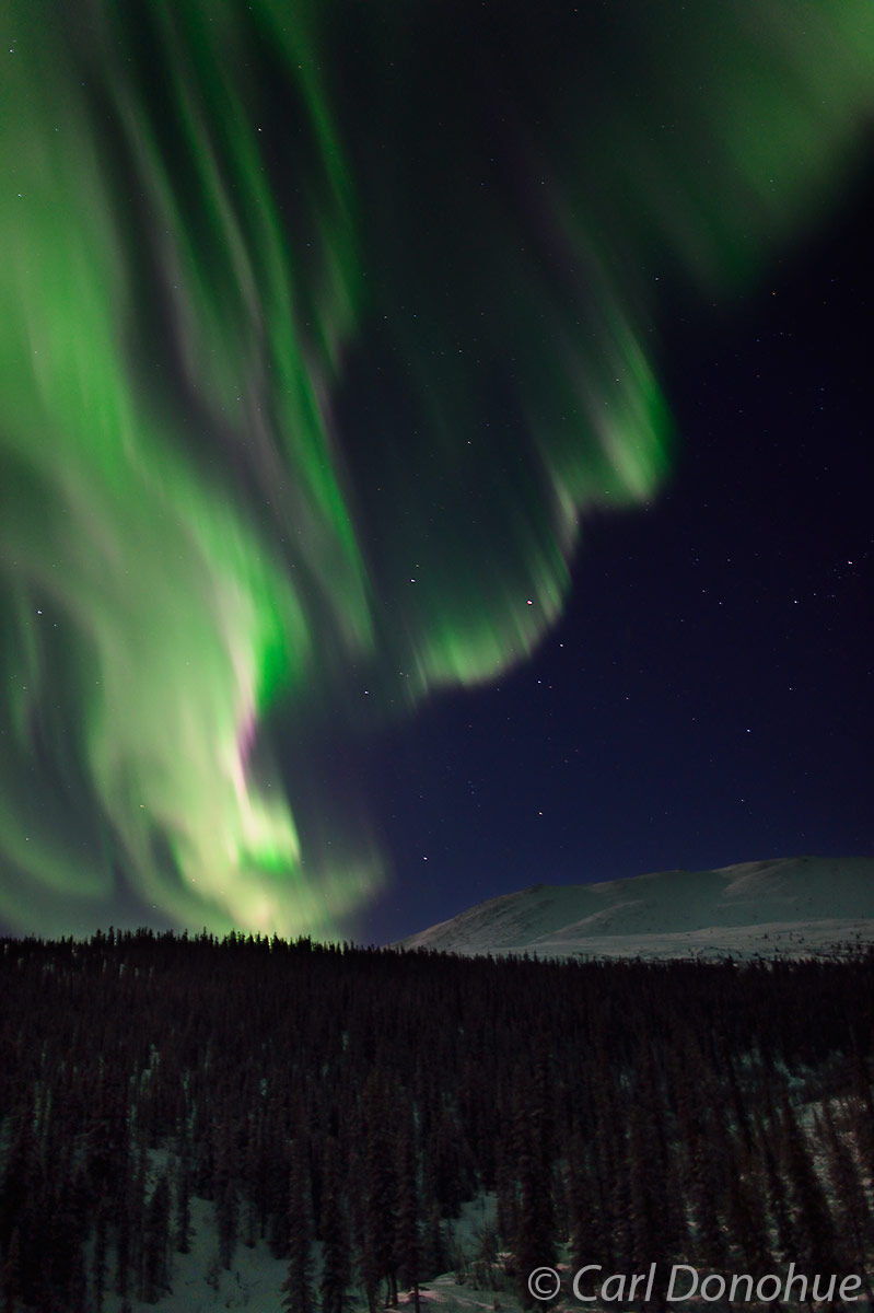 Interior Alaska is home to a lot of wondrous things, none so glorious as the aurora borealis around solstice. Aurora borealis...
