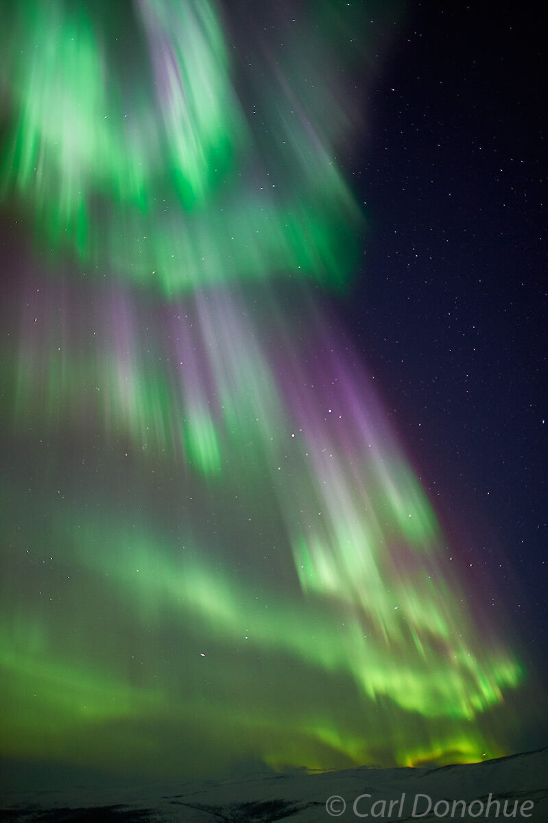 Purple and red and green and everything in between! A bright and colorful Aurora borealis display, reaching high in to the night...