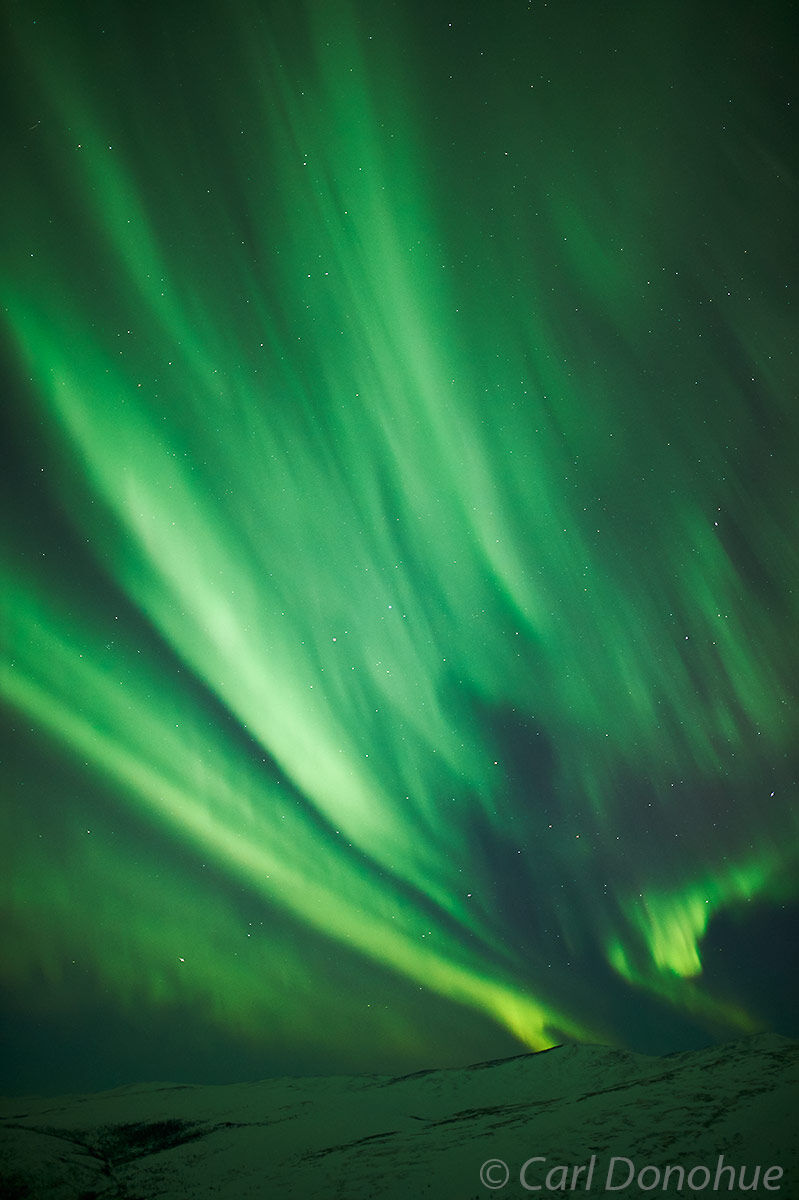 The night caught St. Patrick's Day fever and turned green. An incredible bright green aurora borealis display in interior Alaska...