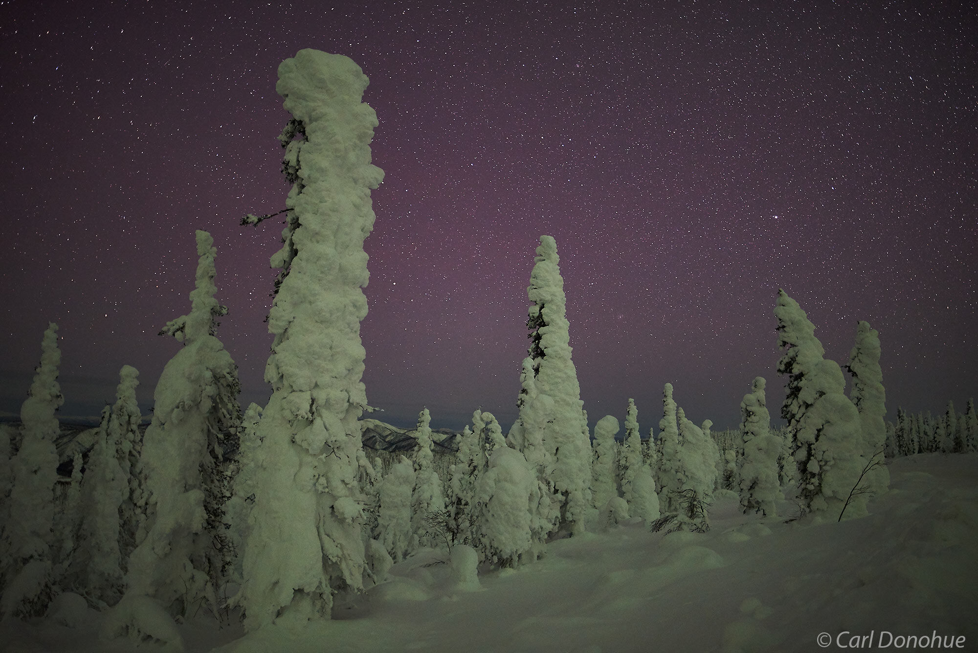Night skies are fun to photograph. Getting ready for the northern lights over the boreal forest, Alaska.
