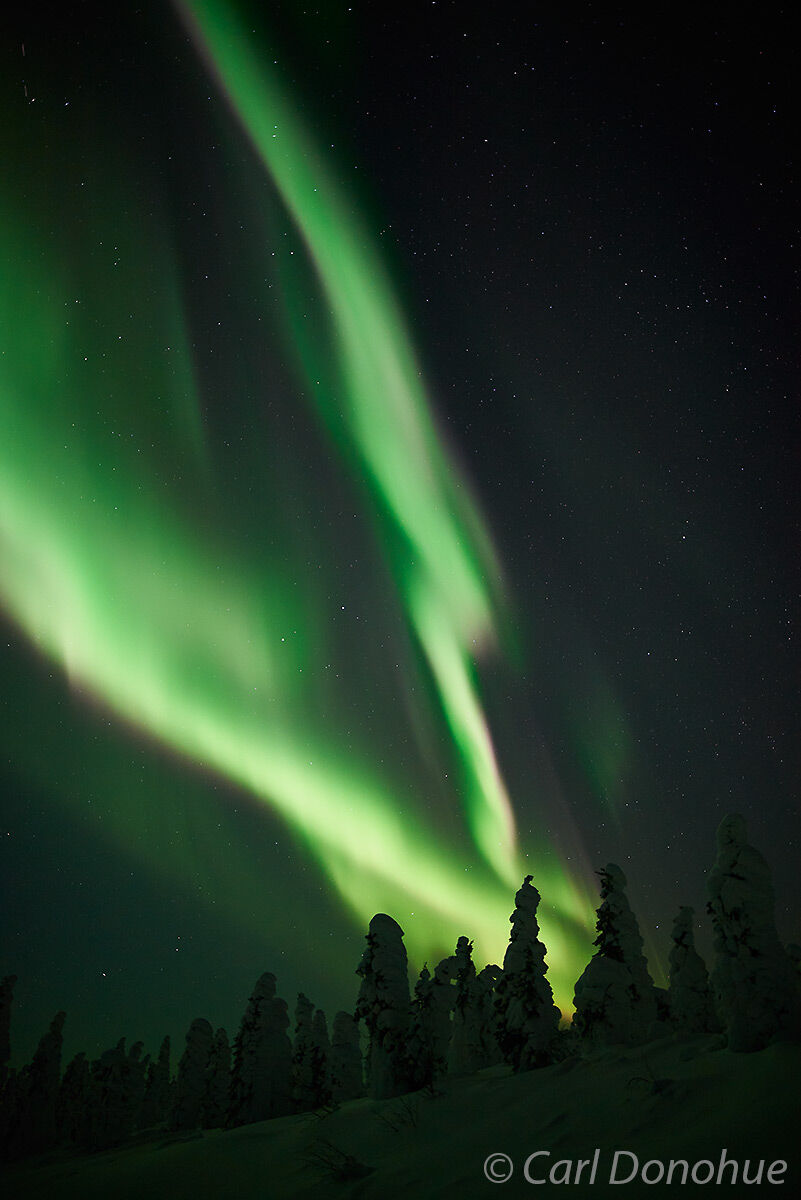 Northern Lights over the Alaska Range from the Dalton Highway, Alaska.