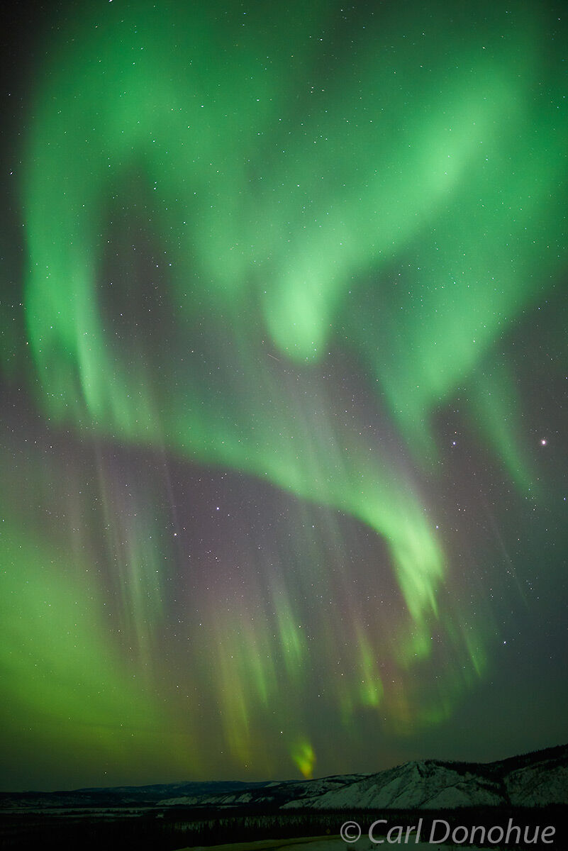 Northern Lights over the Alaska Range from the Dalton Highway, Alaska.