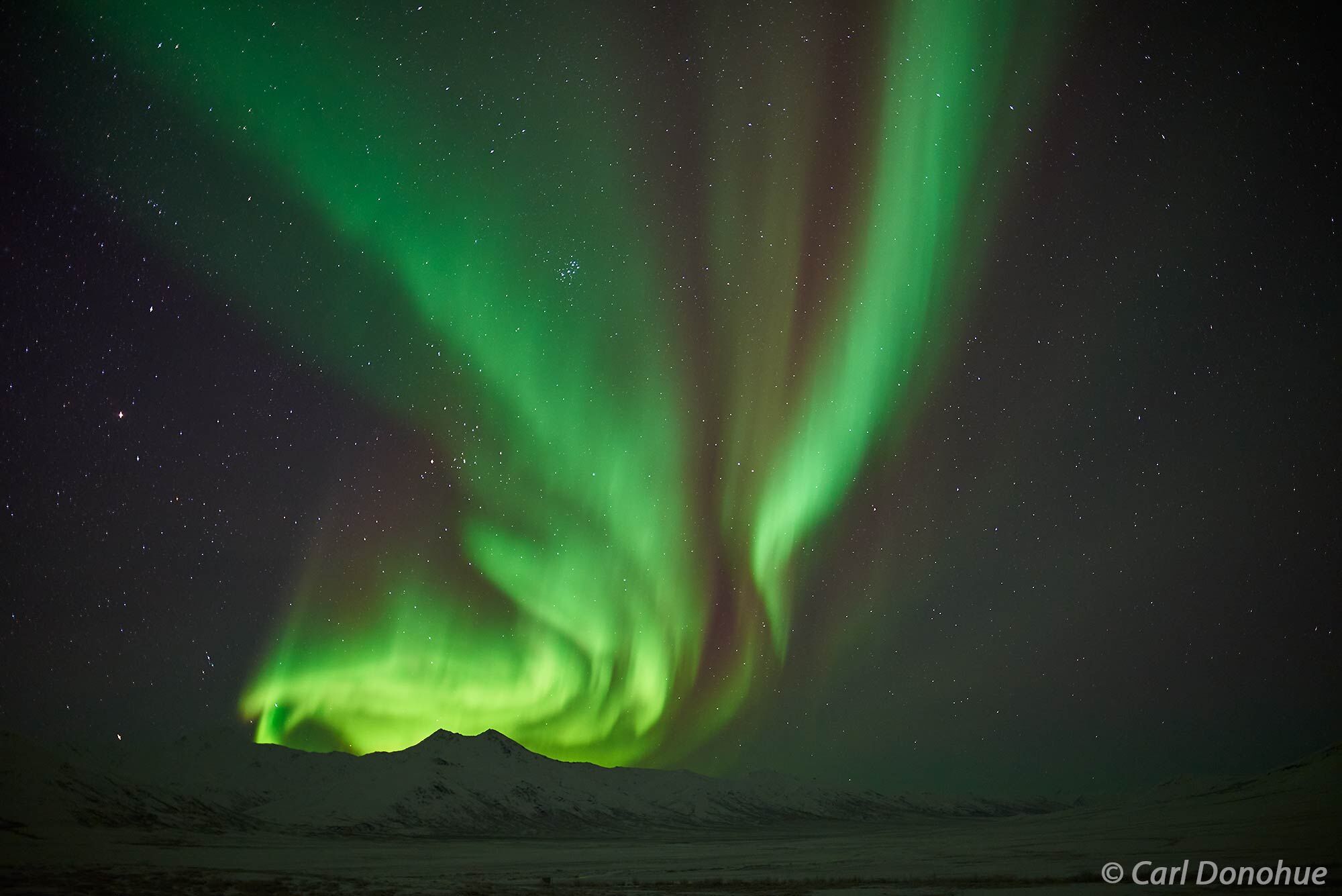 Rising over the Brooks Range east of Gates of the Arctic National Park, the aurora borealis is an Alaska treat. Taken near Atigun...