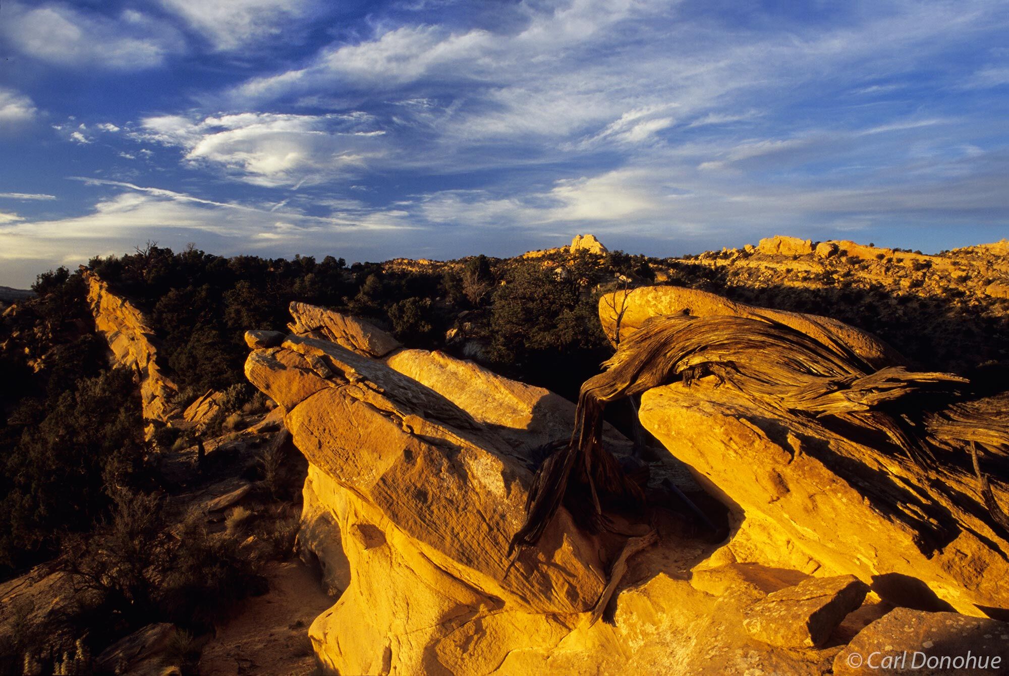 High desert ridge, Colorado Plateau, Escalanté National Monument, Utah.