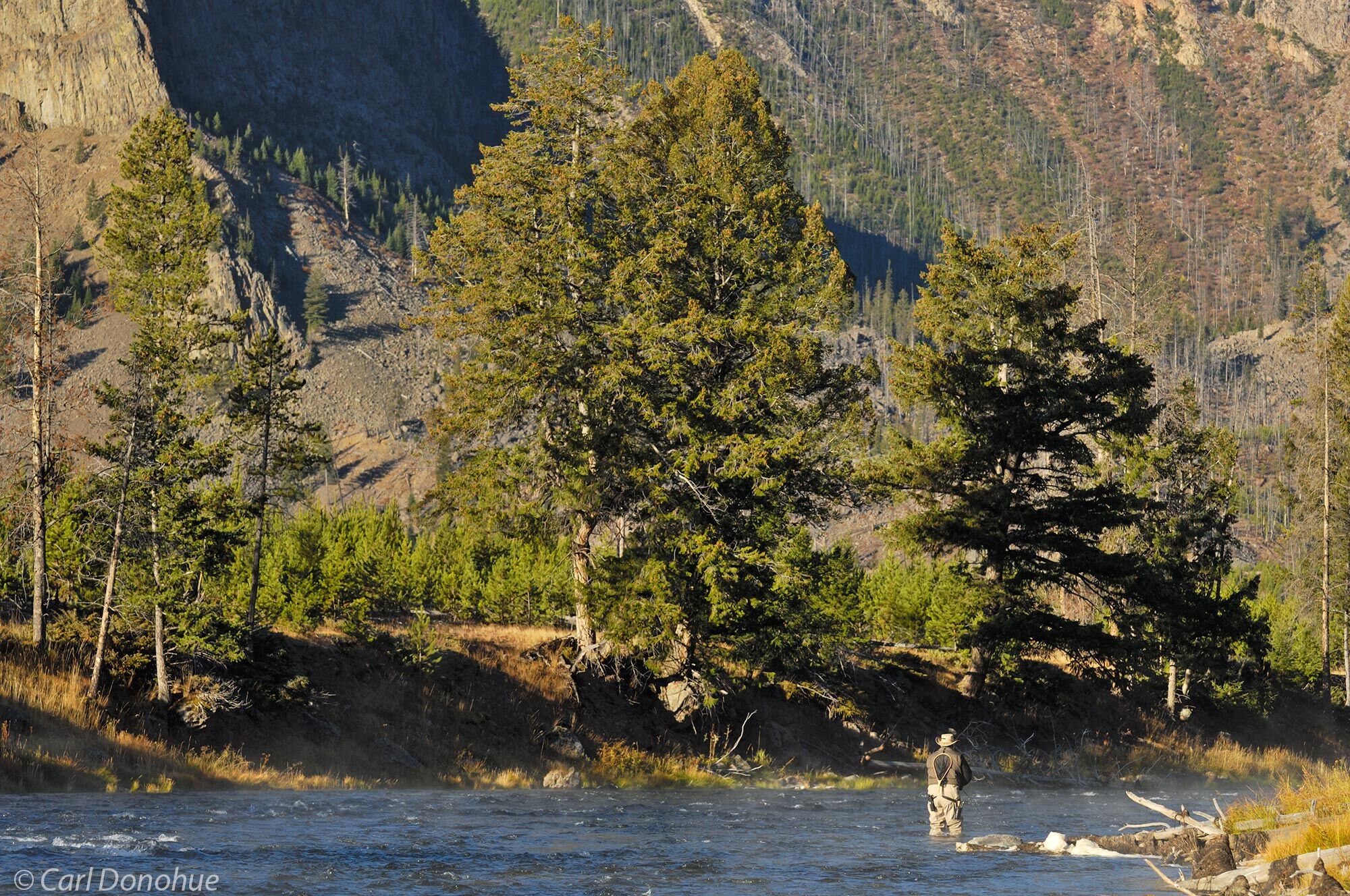 A fly fisherman casts and trolls the Madison River in Wyoming's Yellowstone National Park. Fall mornings find a lot of avid fishermen...