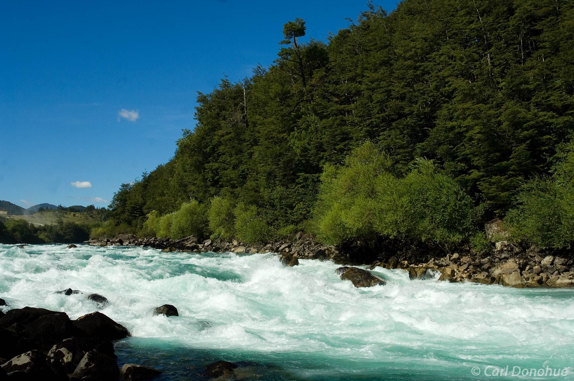 Mondaca rapid, the Futaleufu River. The Andes mountains and thick forests line the riverbanks of the Futaleufu River, one of...
