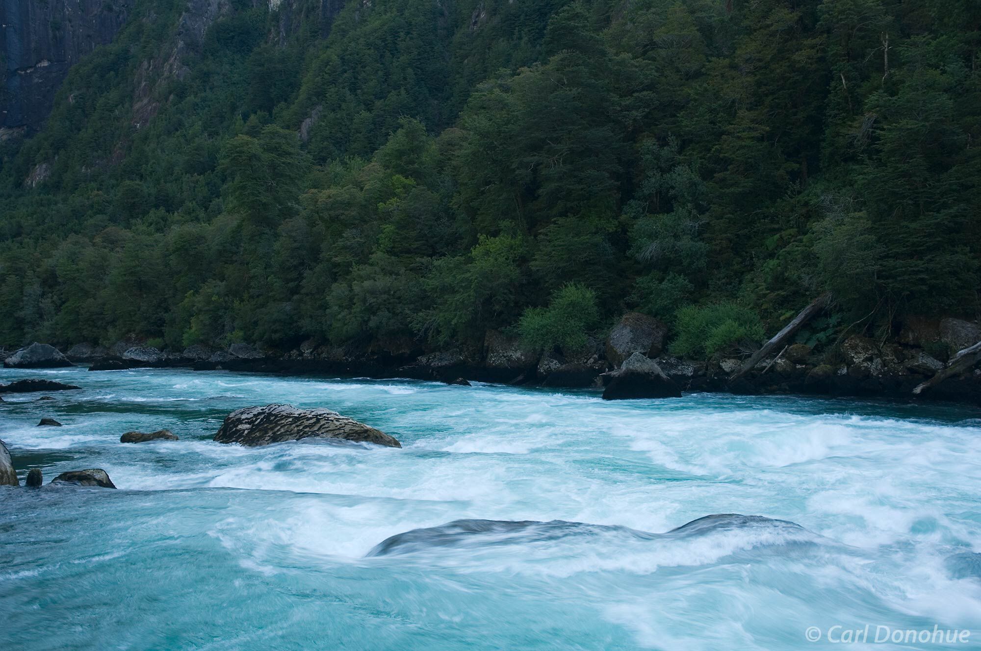 The Futaleufu River carves a canyon through the Andes mountains, and the steep walls are covered in lush forest.  This scene...