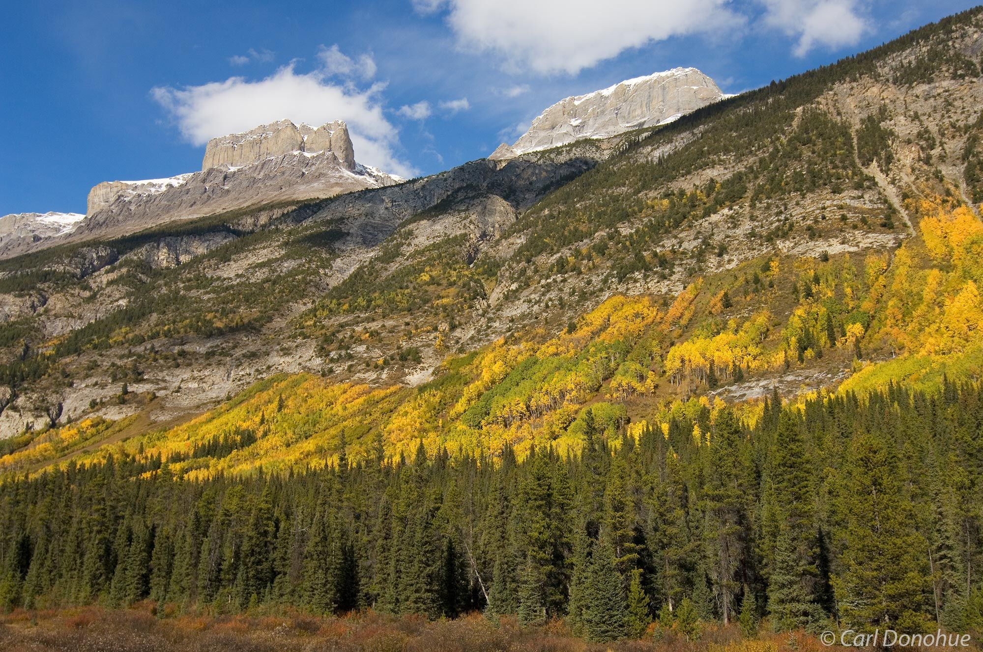Fall colors brighten the mountainsides of the Canadian Rockies in Banff  National Park, Alberta, Canada.