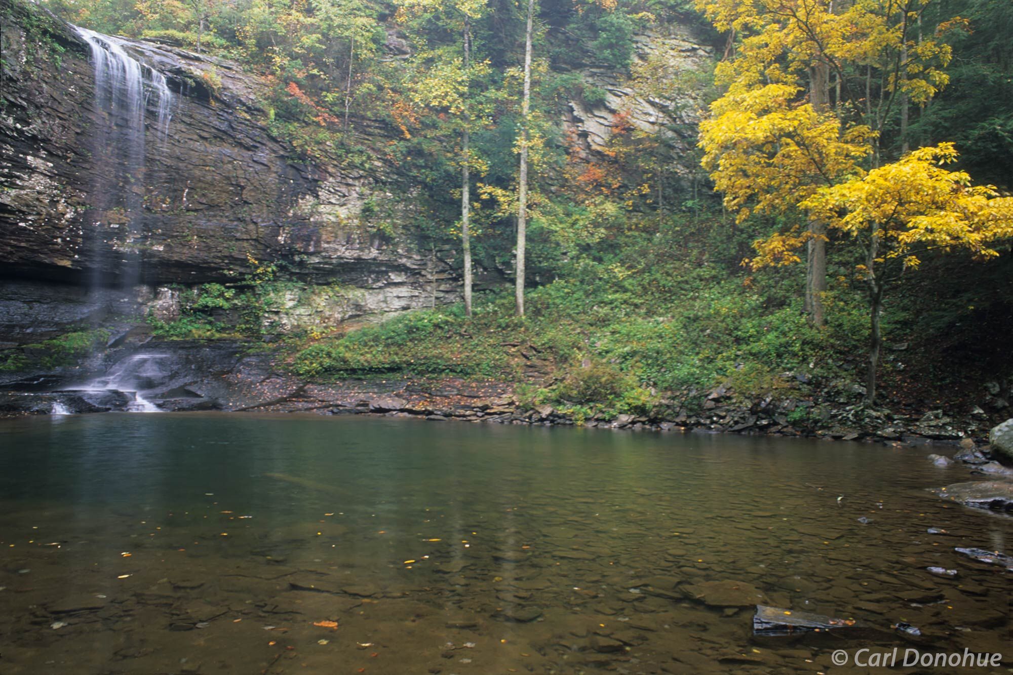 Fall at Cloudland Canyon.  The upper waterfalls of Cloudland Canyon State Park, Georgia.Cloudland Canyon in Northwest Georgia...