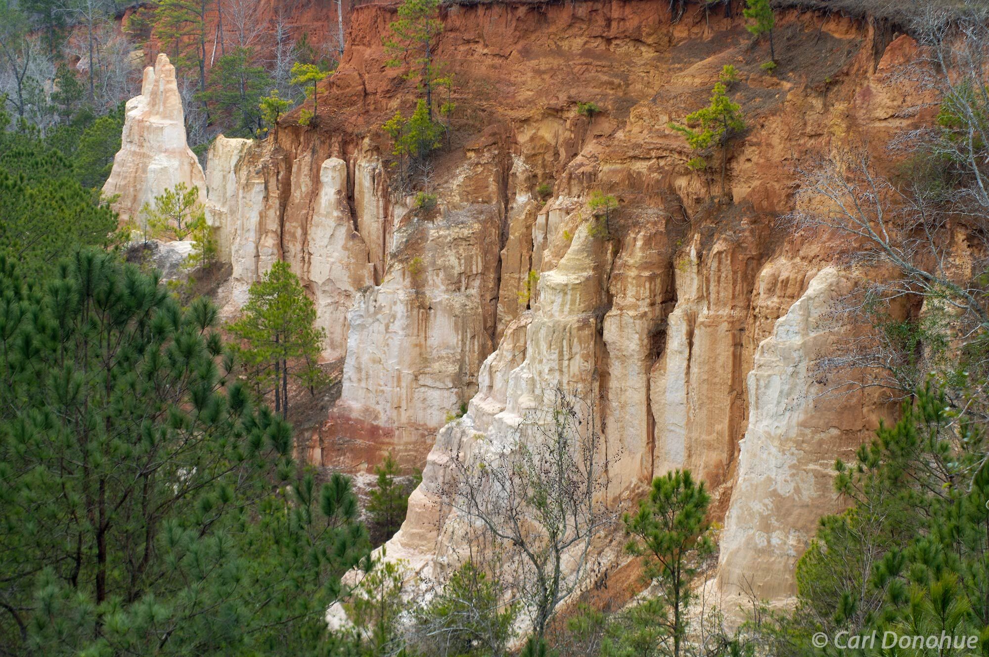 Providence Canyon in Southwest Georgia, near Lumpkin, provides a reflection of the bad farming habits of the 19th century. Providence...