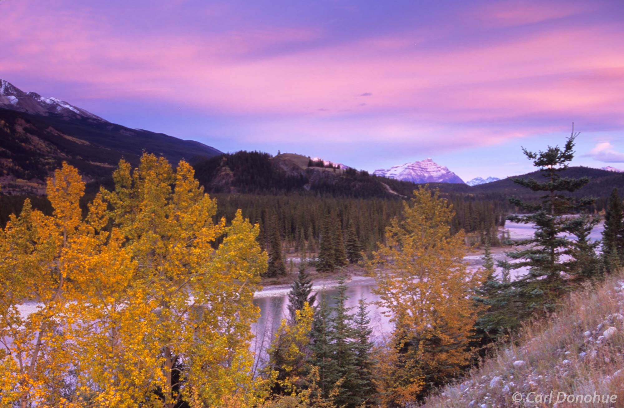 Fall color comes to Jasper National Park, Alberta, Canada along the Athabascan River. The Canadian Rockies glow with color during...