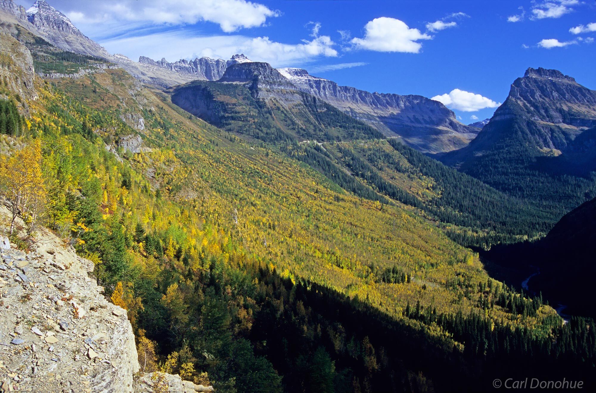Fall colors on "Going to the Sun Road, Glacier National Park, Montana.