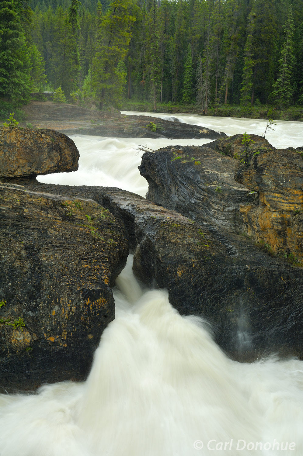 Natural bridge arches is a popular tourist destination and viewing place in Yoho National Park, British Columbia, Canada. Natural...