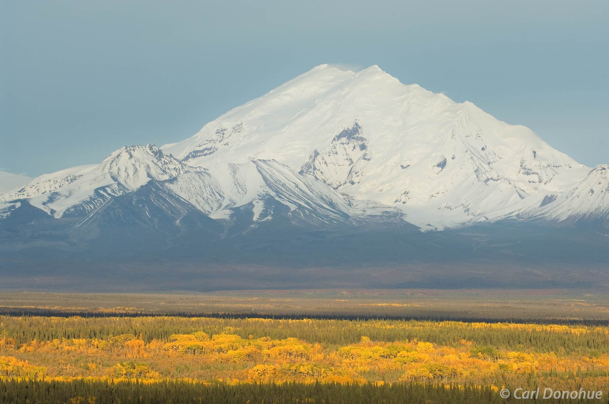 Mt Drum, rising 12 400 feet high, sits atop the Copper River plateau. Fall colors, Wrangell-St. Elias National Park, Alaska.